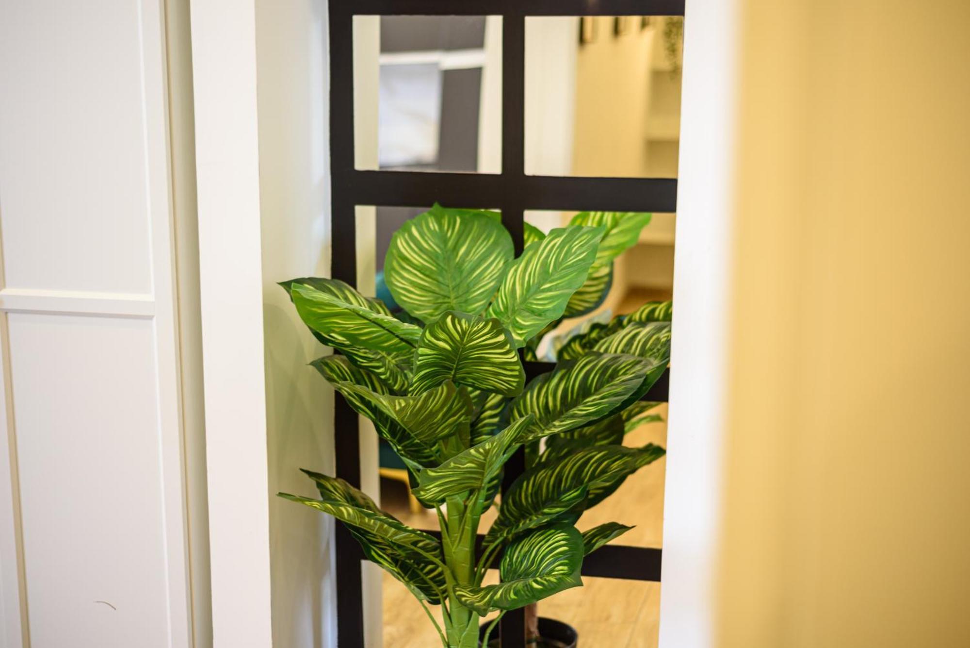 Luxury Apartment In Central City Napoli Dış mekan fotoğraf